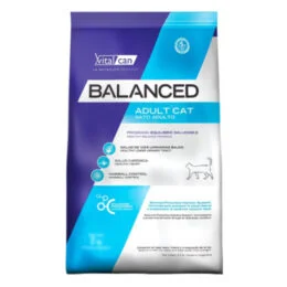 BALANCED-GATO-ADULTO