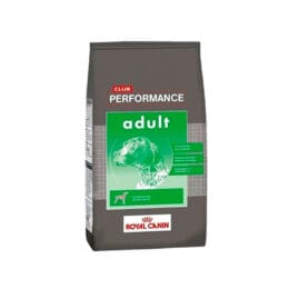 Performance adulto x 15 kg
