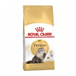ROYAL PERSIAN GATO