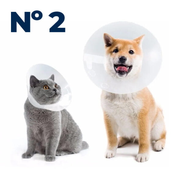 Collar Isabelino para Perros y Gatos Nº 2 - Veterinaria Aguará