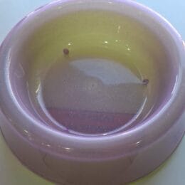 IMPETU COMEDERO OVEJERO CON GLITTER