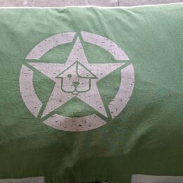 IMPETU CAMA STAR LARGE