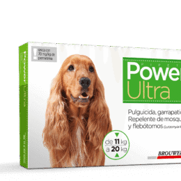 Pipeta Power Ultra Perro 11 A 20 Kg Para Pulgas Y Garrapatas