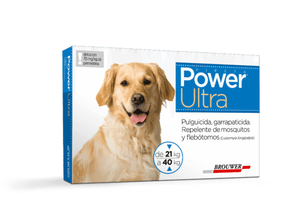 Pipeta Power Ultra Antipulgas Perro 21 A 40 Kg