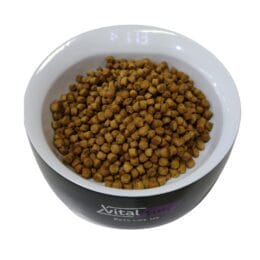 VITALFUN BOWL DIGITAL BLACK (0584) WHITE (0585)