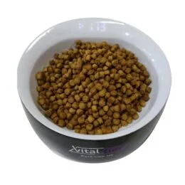VITALFUN BOWL DIGITAL BLACK (0584) WHITE (0585)